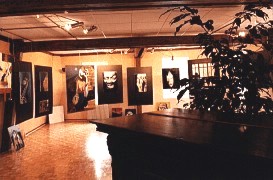 entrez dans ma galerie virtuelle